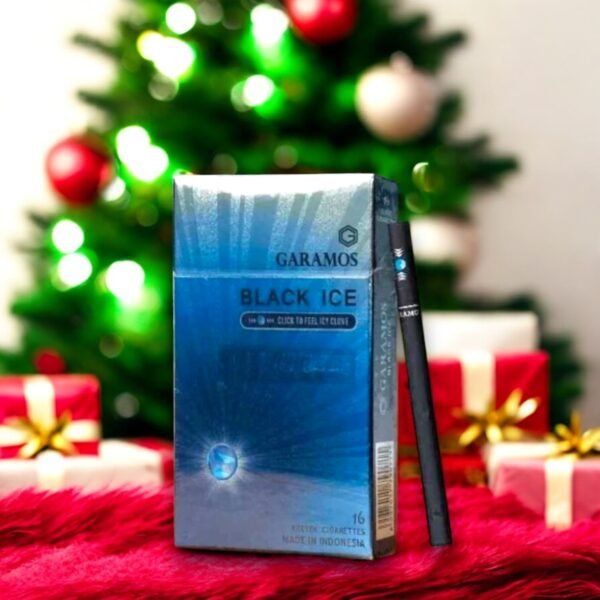 Garamos Black Ice (1เม็ดบีบ)ราคาโดนใจ แบบนี้ต้องจัด 🛍️