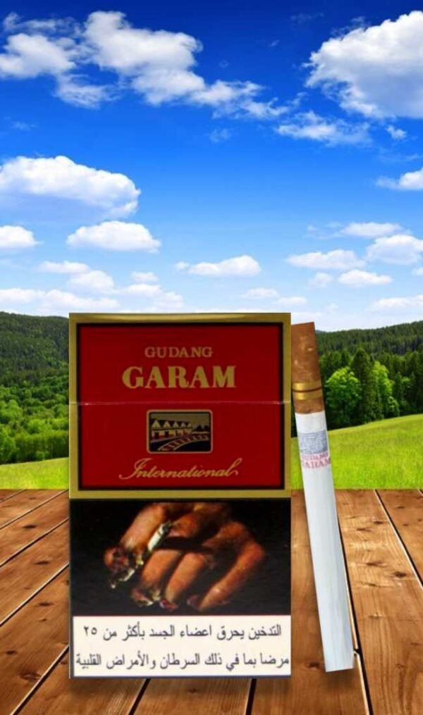 Gudang Garam International (12มวน) 1ซอง