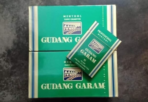 Gudang Garam Profesional Menthol (16มวน) กล่อง
