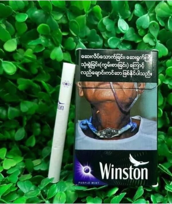 Winston Purple Mint (1เม็ดบีบ) 1คอต