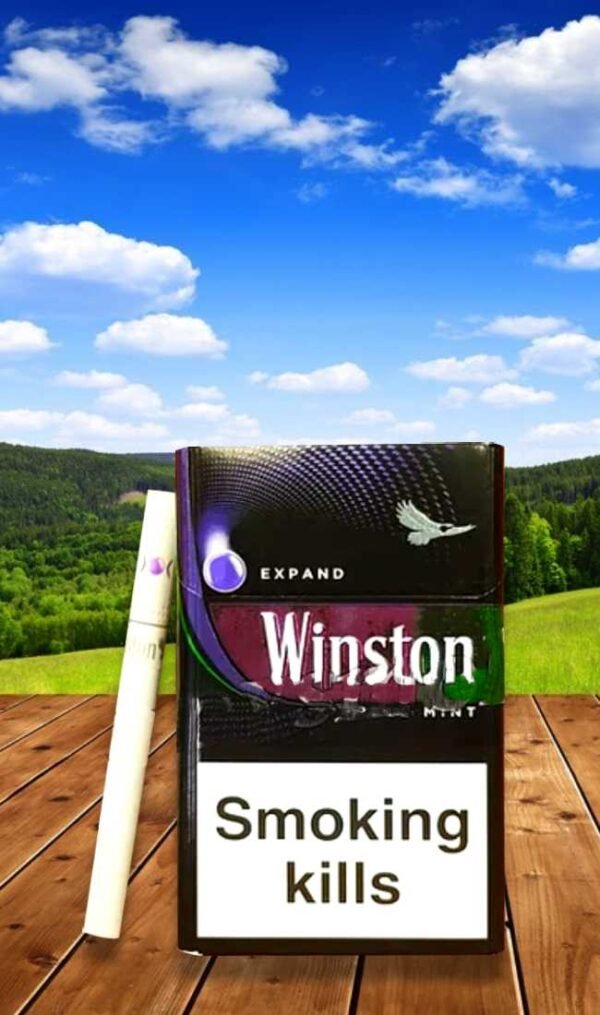 Winston Purple Mint (1เม็ดบีบ) 1ซอง