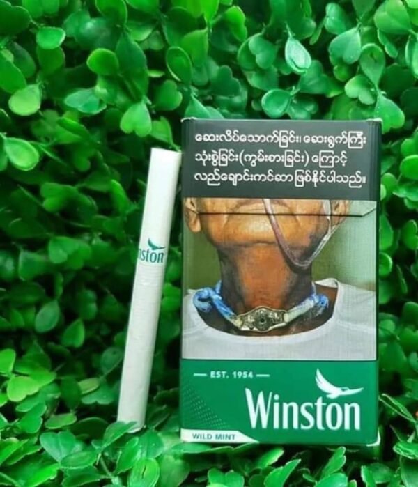 Winston Wild Mint (ลิขสิทธิ์พม่า) - Image 5