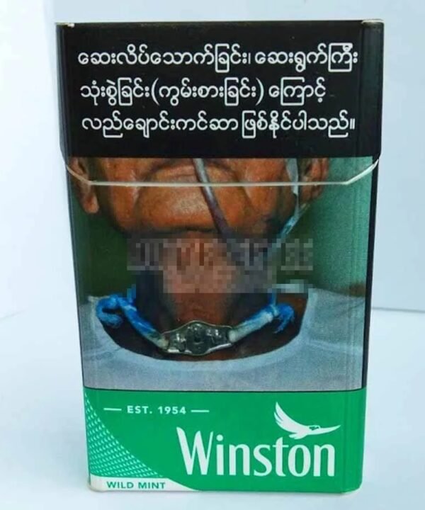 Winston Wild Mint (ลิขสิทธิ์พม่า) - Image 4