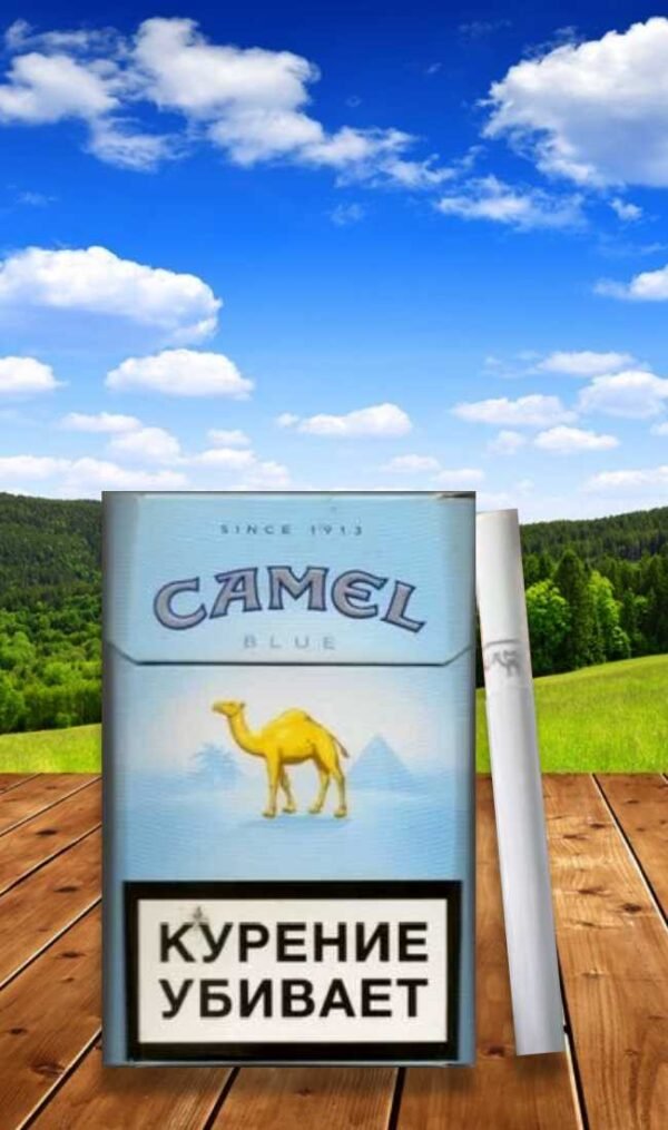Camel Blue (ซองแข็ง) 1ซอง