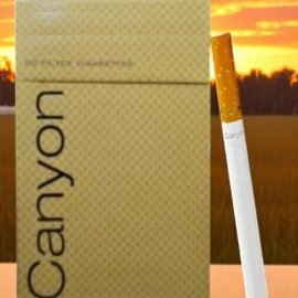 สั่งซื้อ Canyon Light 📦,