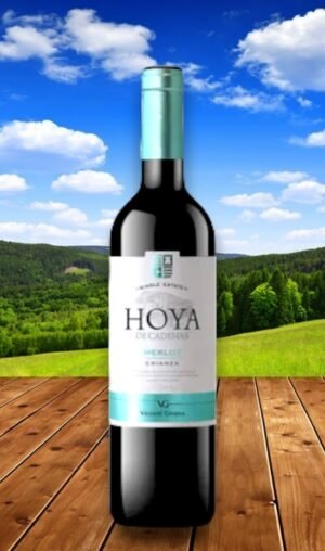 Hoya de Cadenas Merlot 2015 วิธีสั่งซื้อสะดวก 📦