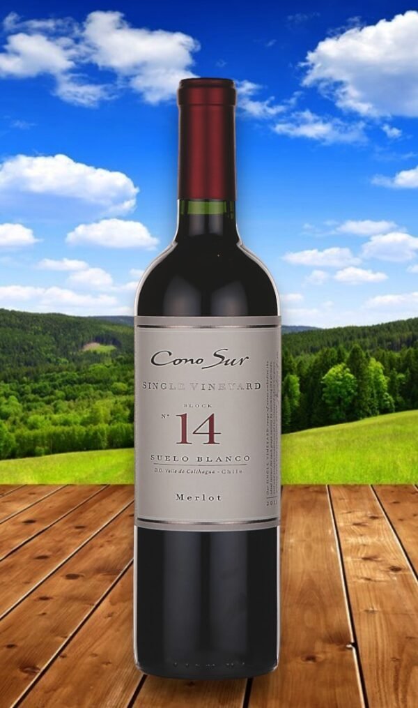 Cono Sur Single Vineyard Block 14 Merlot