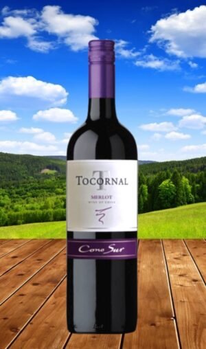 🏍️ ส่งด่วน กทม Cono Sur Tocornal Merlot 2020 ภายใน 1 ชั่วโมง