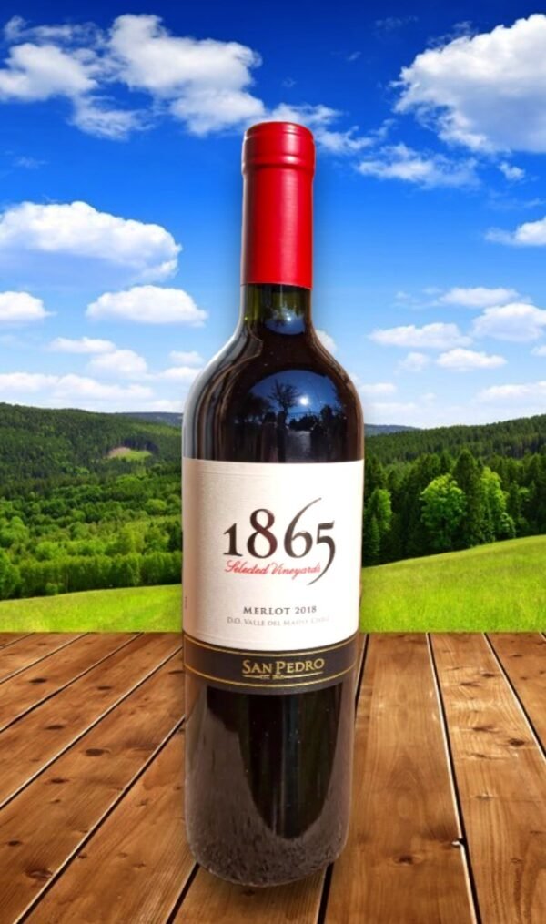 1865 Single Vineyard Carmenere โปรโมชั่น