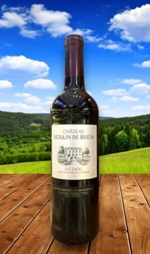 Chateau Moulin de Brion Medoc ราคาถูกได้ที่นี่ 🛒