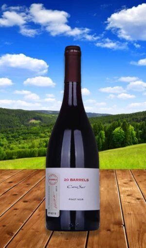 Cono Sur 20 Barrels Syrah 2015 750 มิลลิลิตร