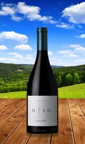 Cono Sur Ocio Pinot Noir 2012 750 มิลลิลิตร