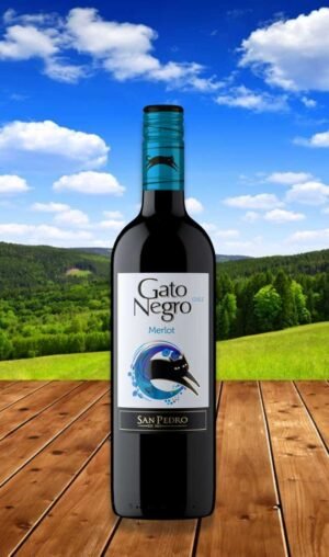 Gato Negro Merlot 750 มิลลิลิตร