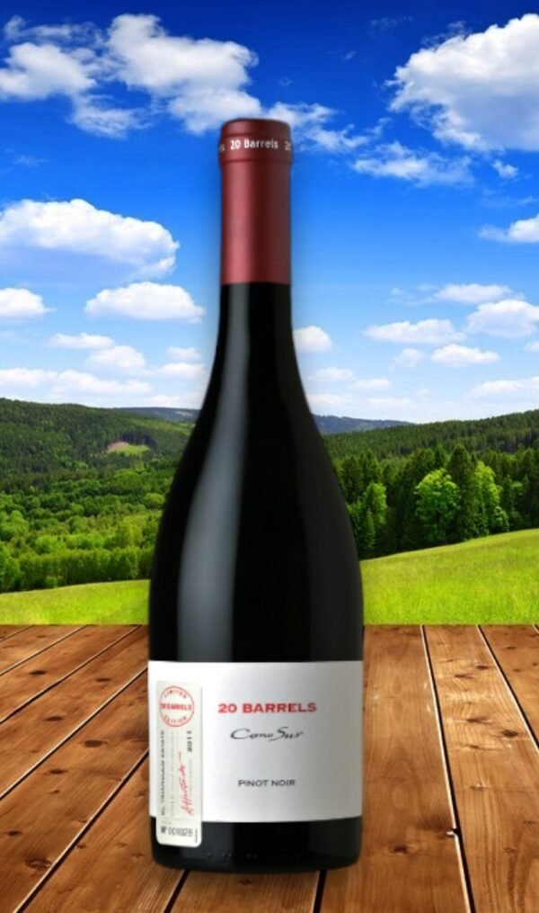 Cono Sur 20 Barrels Syrah 2015