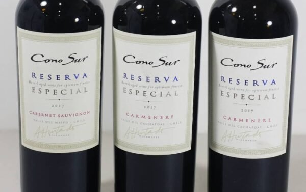 Cono Sur Reserva Especial Merlot 2017 - Image 2