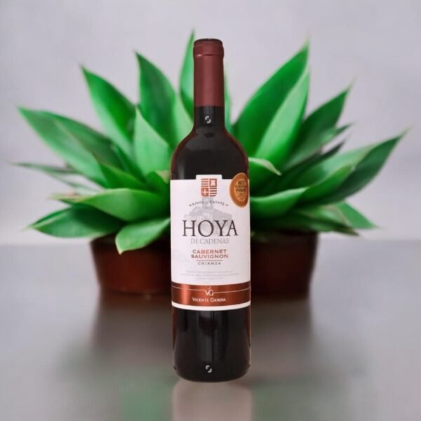 Hoya de Cadenas Cabernet Sauvignon 2014 มีการรับรางวัลหรือรีวิวที่น่าสนใจไหม?