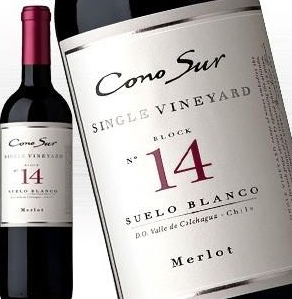 รายละเอียดการสั่งซื้อ Cono Sur Single Vineyard Block 14 Merlot 🛍️