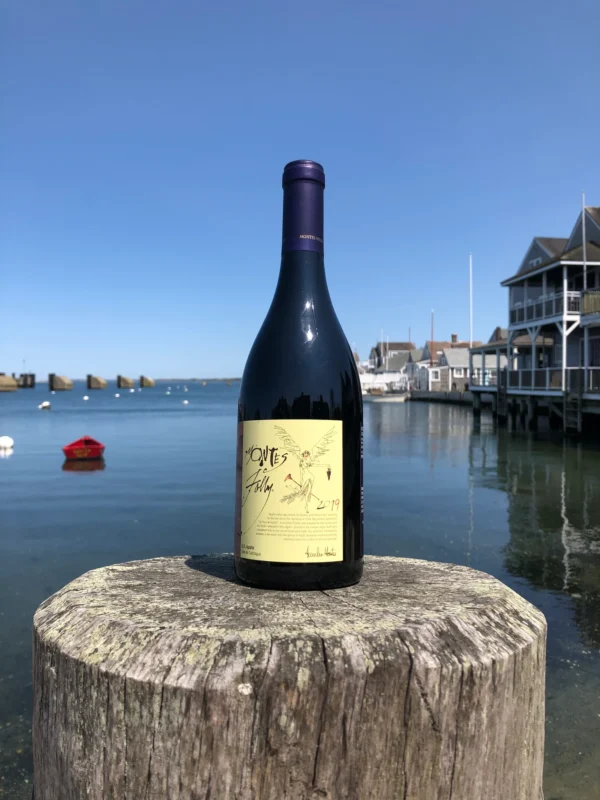 ราคาดี๊ดี Montes Folly Syrah 2019