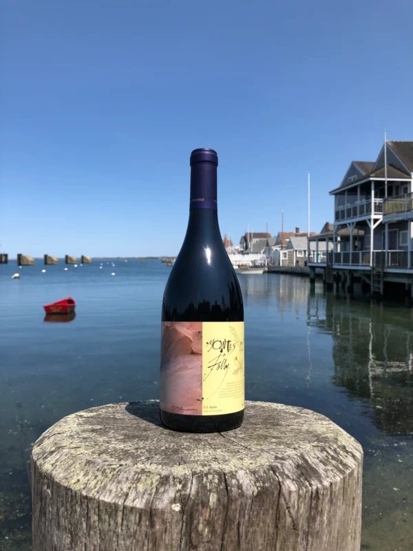 Montes Folly Syrah 2019 ของมันต้องมี!