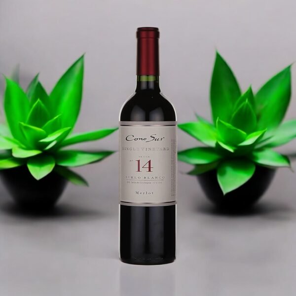 Cono Sur Single Vineyard Block 14 Merlot มีข้อดีและข้อเสียอะไรบ้าง?