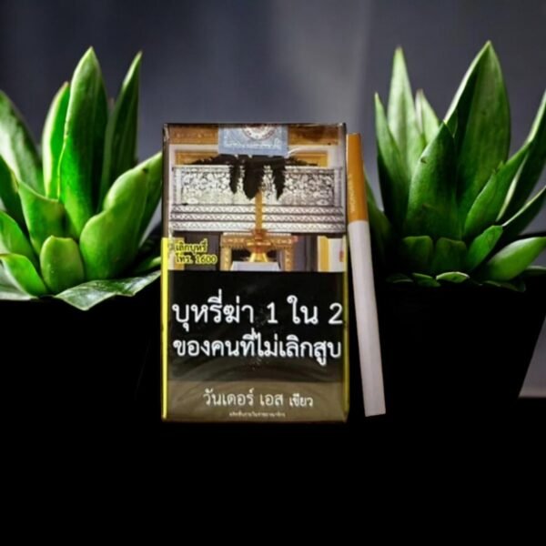 Wonder S Green มีฟีเจอร์พิเศษอะไรที่โดดเด่น?