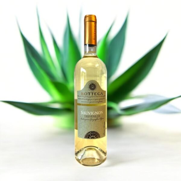 Bottega Sauvignon Trevenezie มีรสชาติที่เข้มข้นหรือเบาบาง?