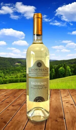 Bottega Chardonnay Trevenezie (750มิลลิลิตร)
