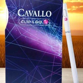 กลิ่นบลูเบอร์รี่ Cavallo 🍇