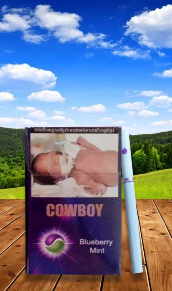 Cowboy Blueberry & Mint (1เม็ดบีบ) - Image 2