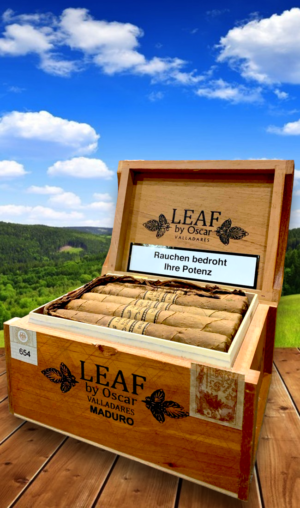 Leaf Cigars Maduro พร้อมส่ง ราคาโดนใจ แบบนี้ต้องจัด!