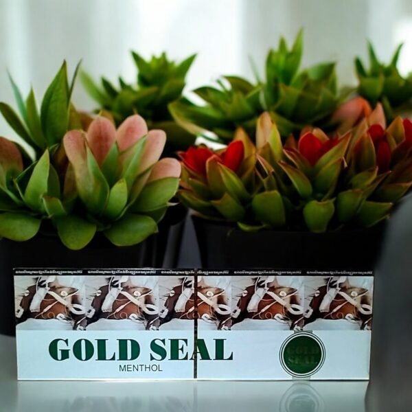 Gold Seal Menthol Normal โปรโมชั่นสุดคุ้ม 🎉