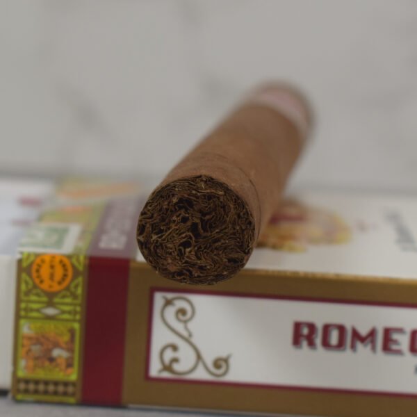 Romeo & Julieta Romeo No.2 ด่วนทันใจ