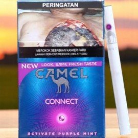 Camel Activate Purple Mint 💜