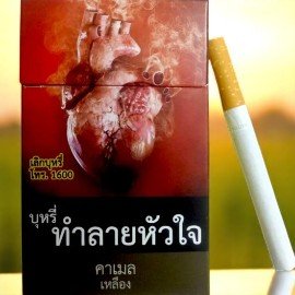 Camel Yellow สั่งออนไลน์ 🌐