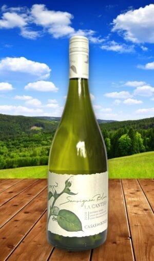 Casas del Bosque La Cantera Sauvignon Blancวิธีสั่งซื้อสะดวก 📦