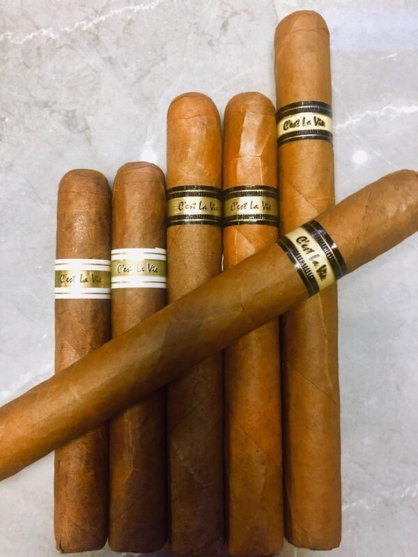 C'EST LA VIE ROBUSTOราคาสุดพิเศษ