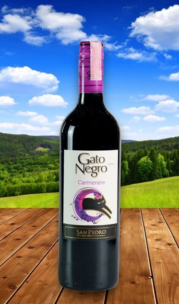 Gato Negro Carménèreราคาสุดพิเศษ