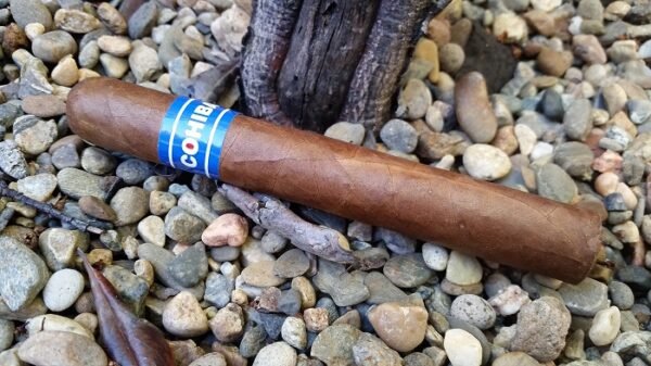 Cohiba Blue Robusto 5.5×50 (20มวน) - Image 3