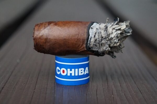 Cohiba Blue Robusto 5.5×50 (20มวน) - Image 7