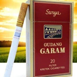 Gudang Garam Surya ประเภทต่างๆ📋