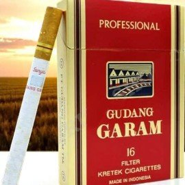 Garam Profesional Red ราคาถูก💰