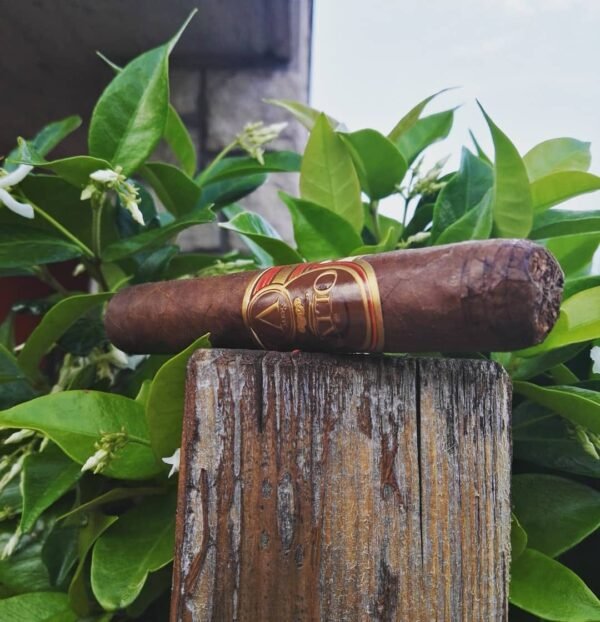 Oliva Serie V Double Robusto 5x54 (24มวน) - Image 13