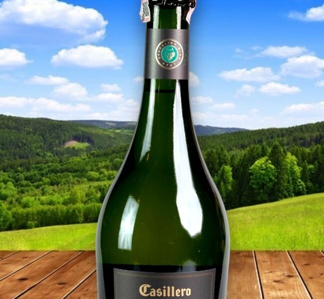 Casillero Del Diablo Devil's Brut