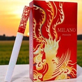 โปรโมชั่น Milano Paris 🎉