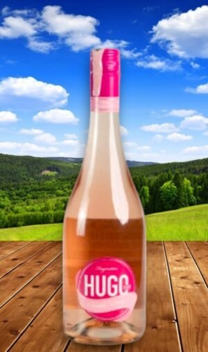 Faszination Hugo roséทักมาเลย!