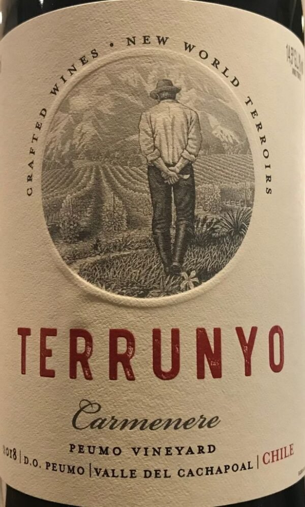 Terrunyo Cabernet Sauvignon 2020 - Image 3