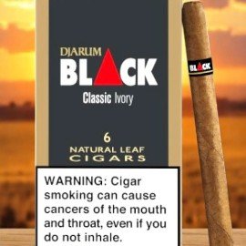 Djarum Black Ivory Box ราคาถูก 💵