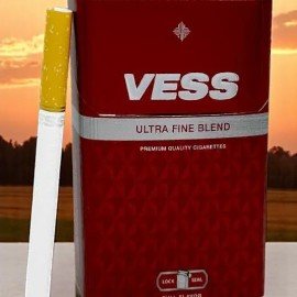 Vess Mango ราคา 💰
