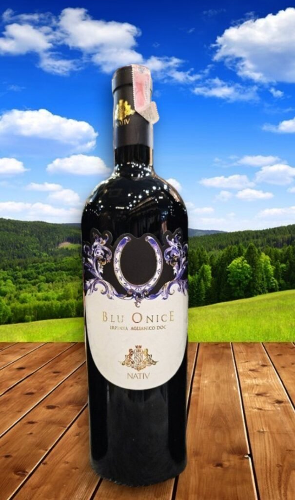 Blu Onice 2019 Doc Irpinia Aglianico Magnumราคาถูกได้ที่นี่ 🛒